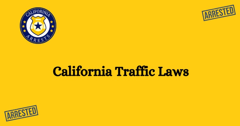California Traffic Laws 1