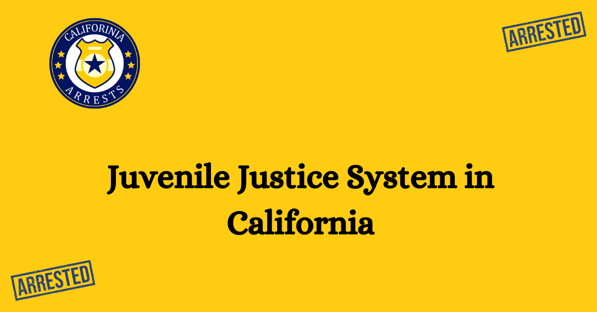 Juvenile Justice System in California 1