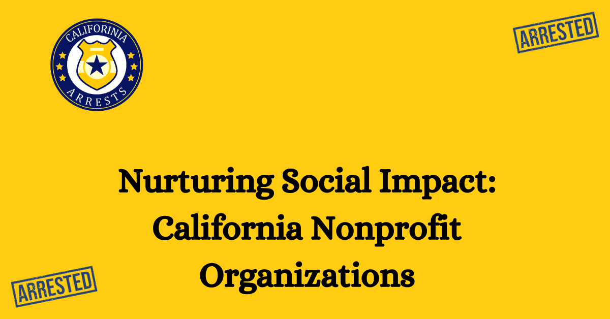 Nurturing Social Impact California Nonprofit Organizations 1